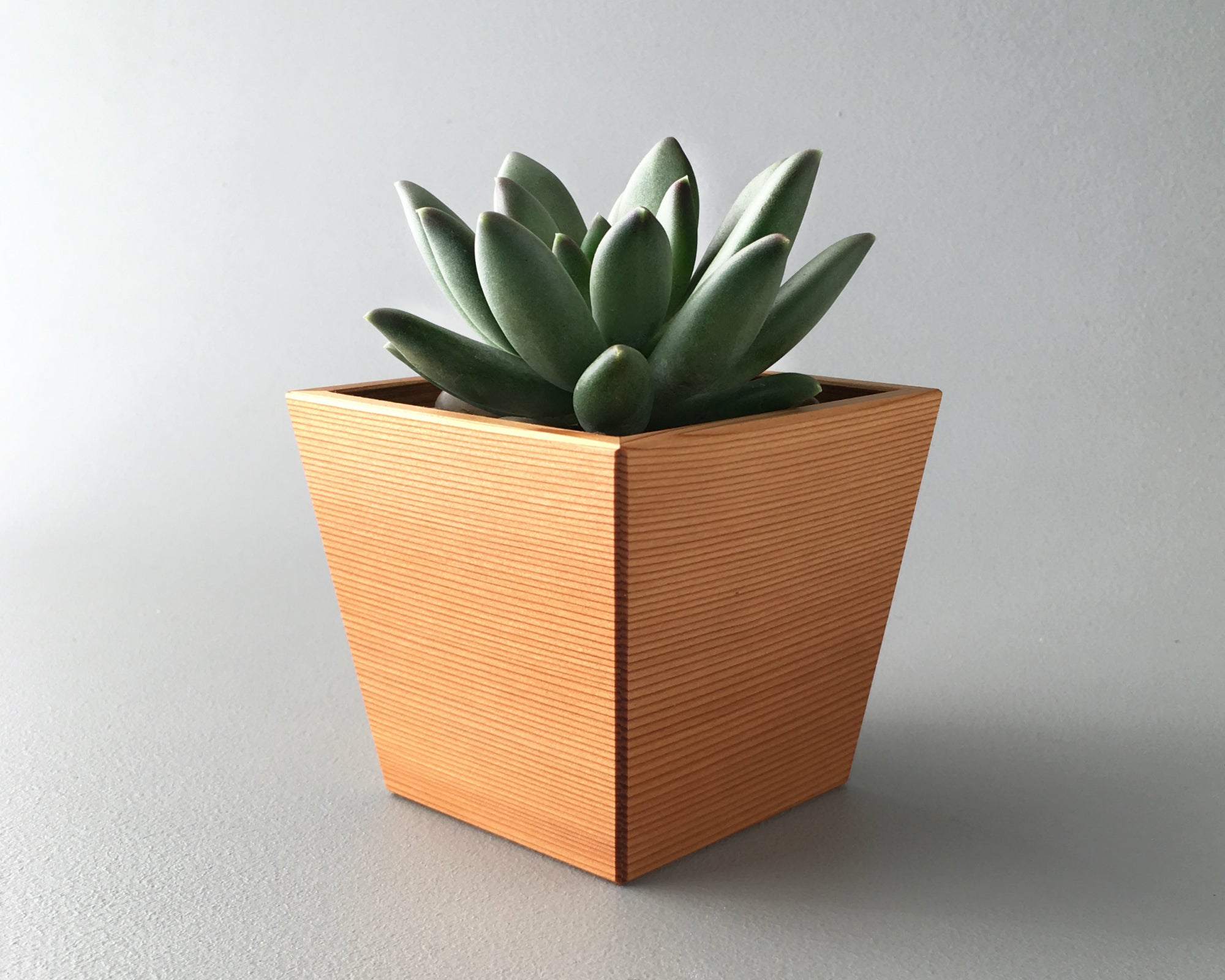 Geometric Modern Wood Succulent Planter, Made in USA